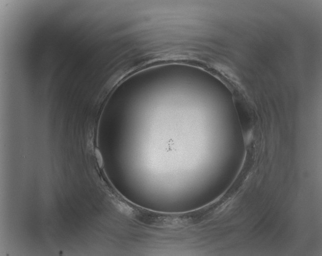 X0000072521273200607211414