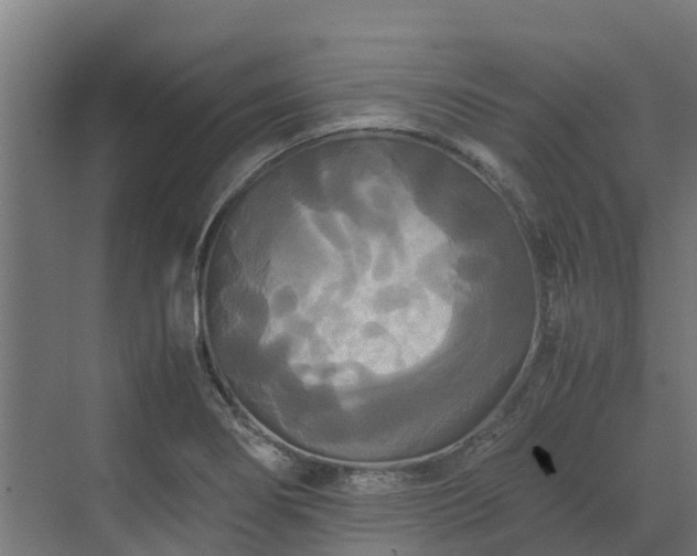 X0000072521274200607211414