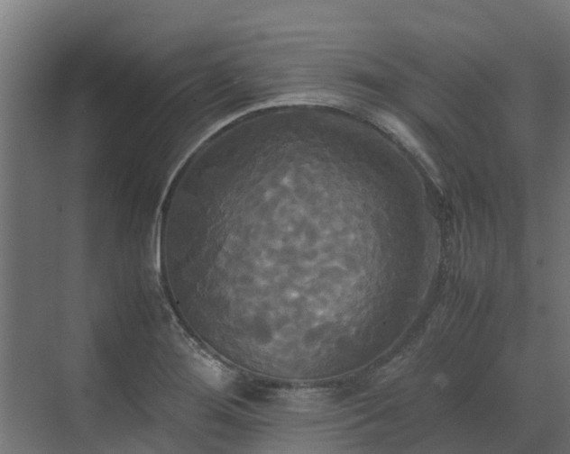 X0000072521276200607211414