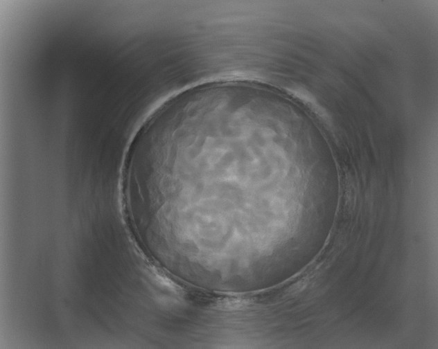 X0000072521278200607211414