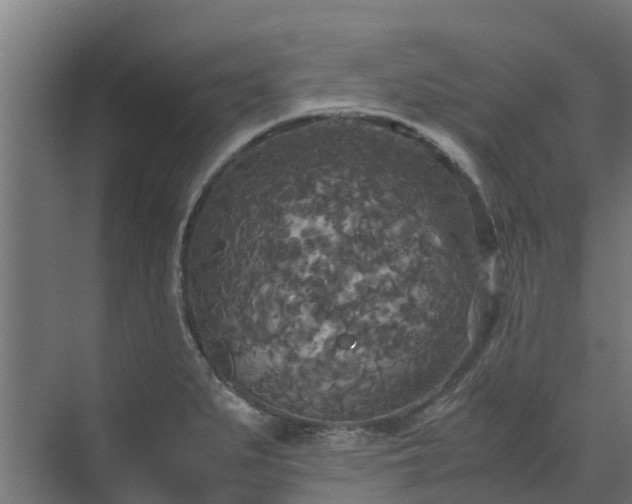 X0000072521279200607211414