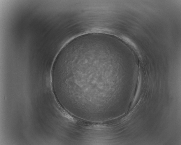 X0000072521280200607211414