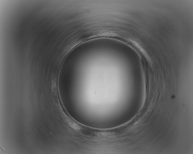 X0000072521281200607211414