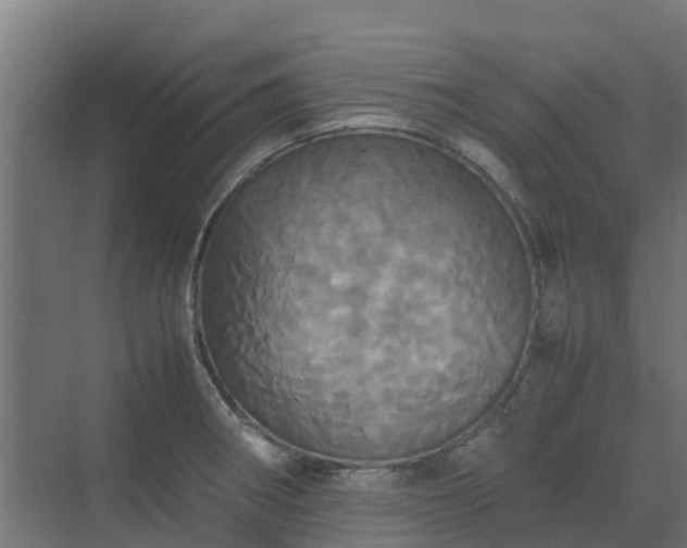 X0000072521282200607211414