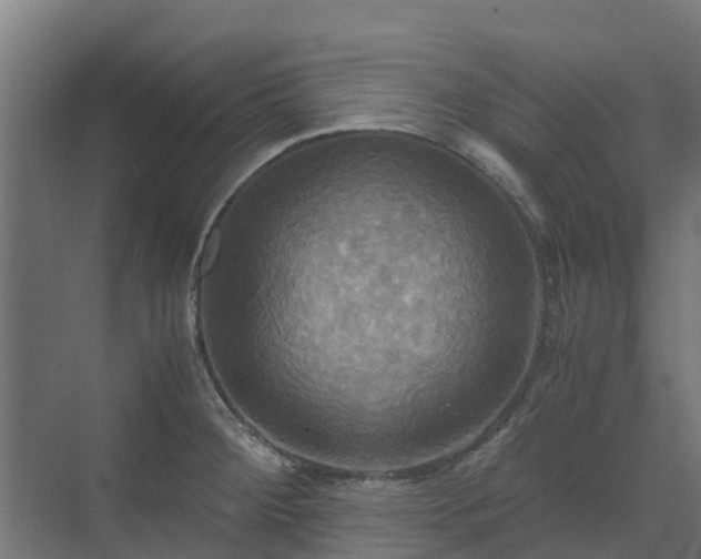 X0000072521284200607211414