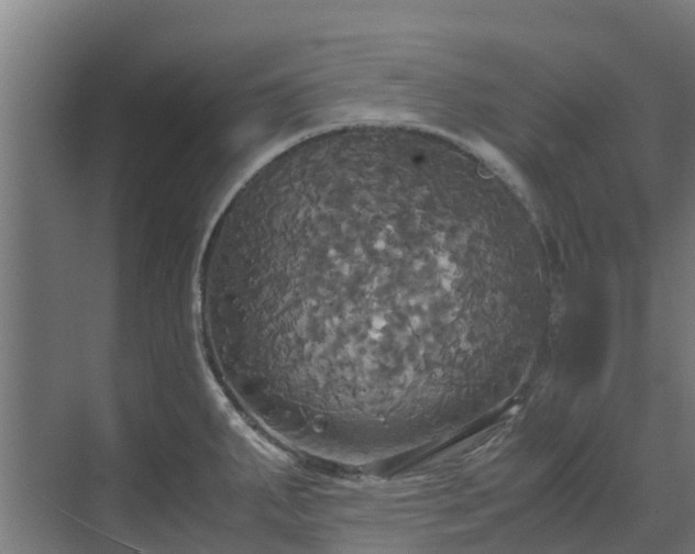 X0000072521287200607211414