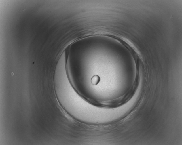 X0000072521289200607211414