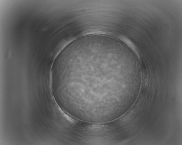 X0000072521290200607211414