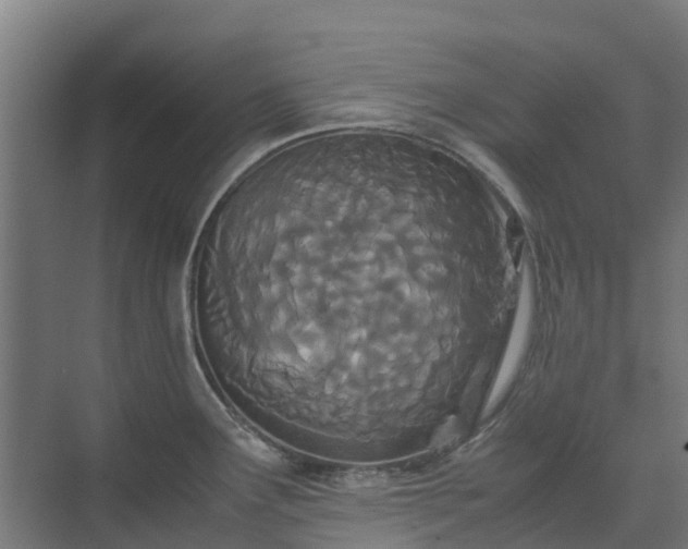 X0000072521291200607211414