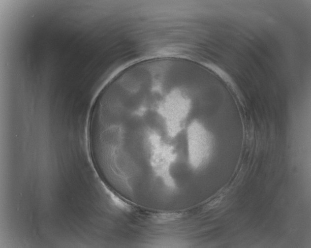 X0000072521294200607211413