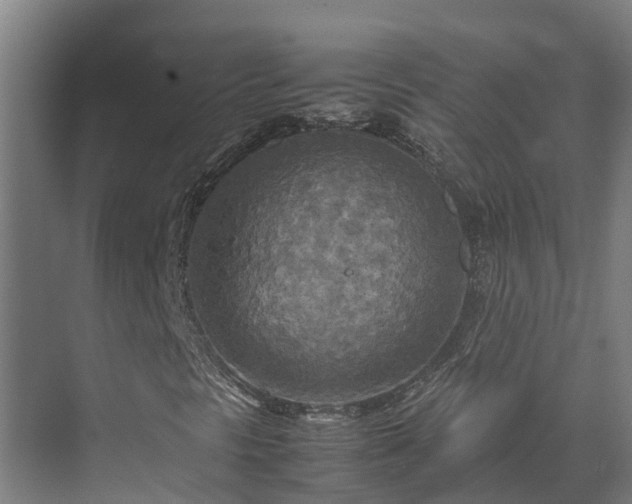 X0000072521297200607211413