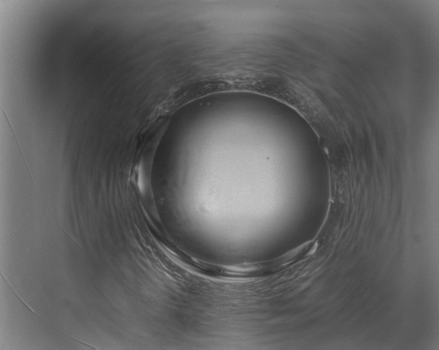 X0000072521298200607211413