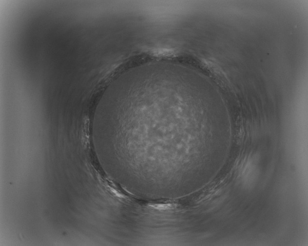 X0000072521301200607211413