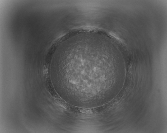 X0000072521302200607211413