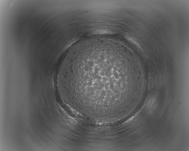 X0000072521305200607211413