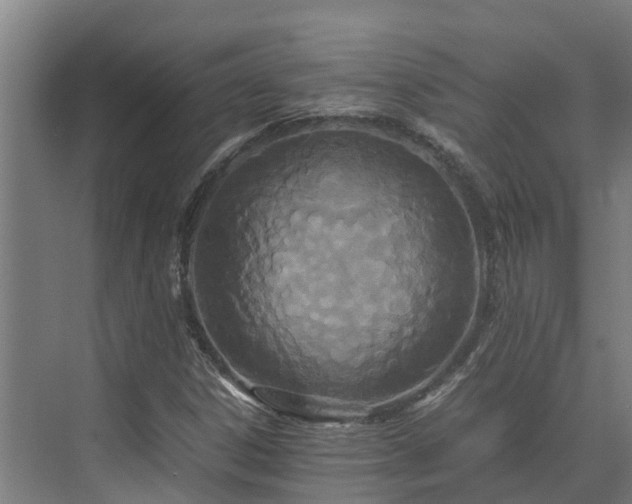 X0000072521306200607211413