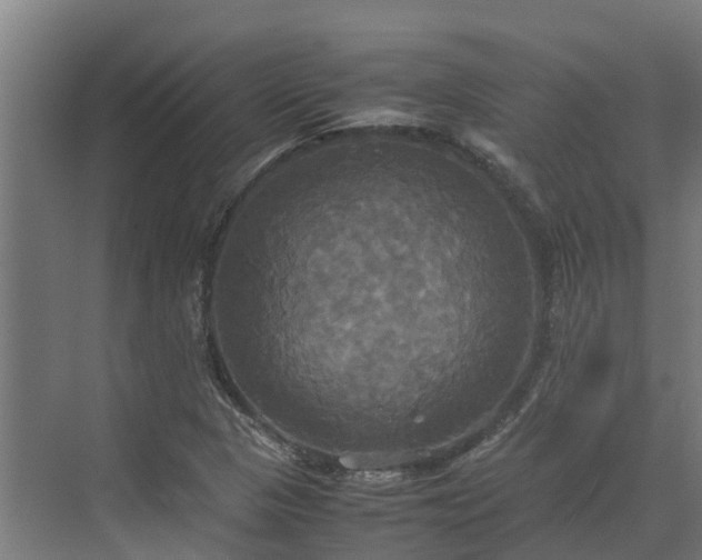 X0000072521313200607211413