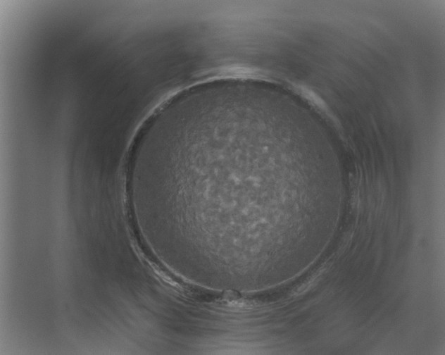 X0000072521318200607211413