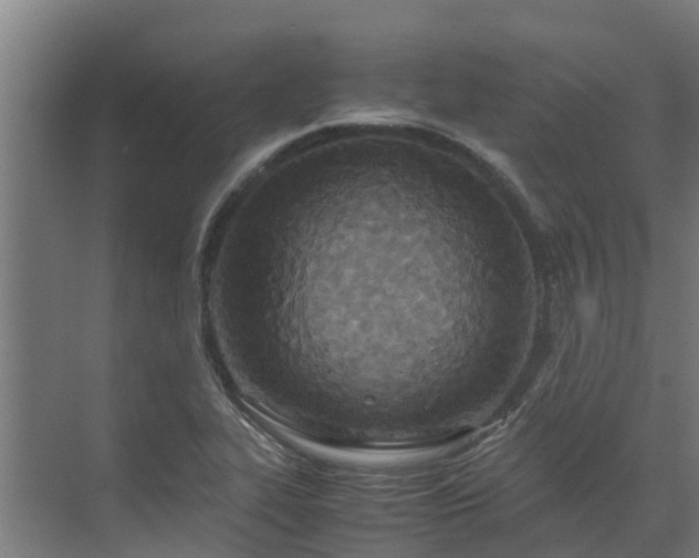 X0000072521319200607211413