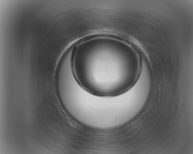 X0000072521320200607211413