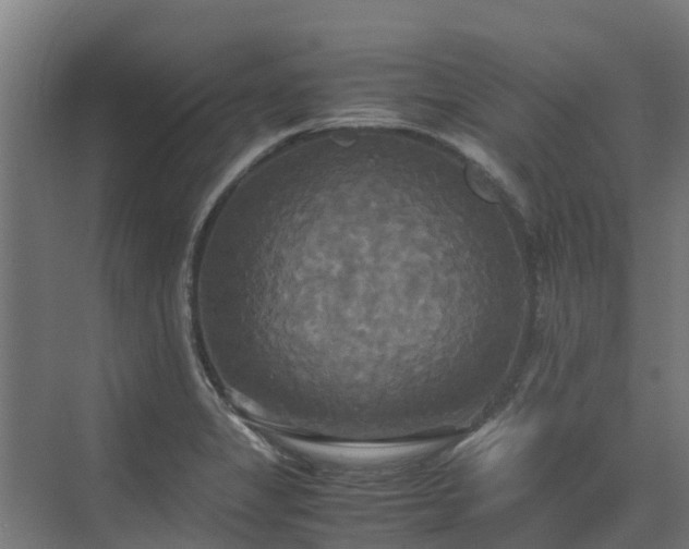 X0000072521325200607211413