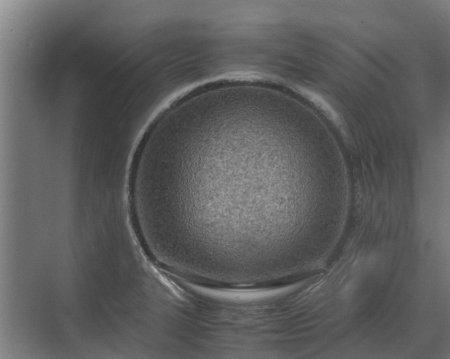 X0000072521327200607211413