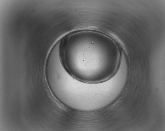 X0000072521332200607211413