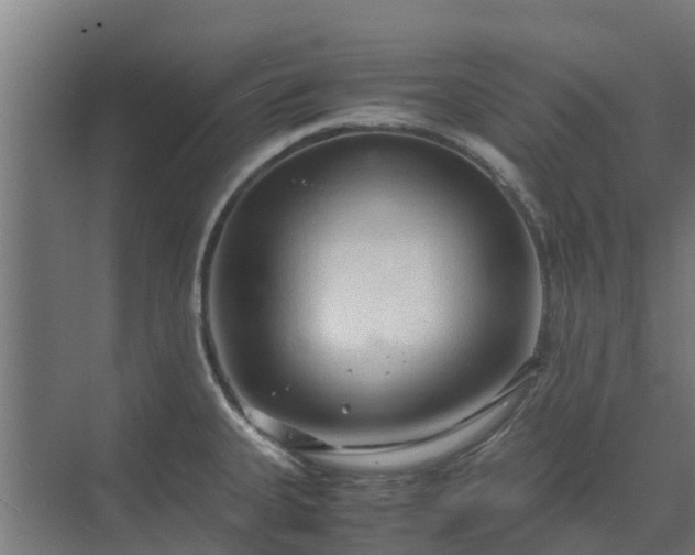 X0000072521335200607211413