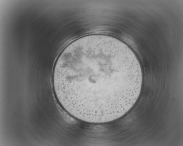 X0000072521338200607211413