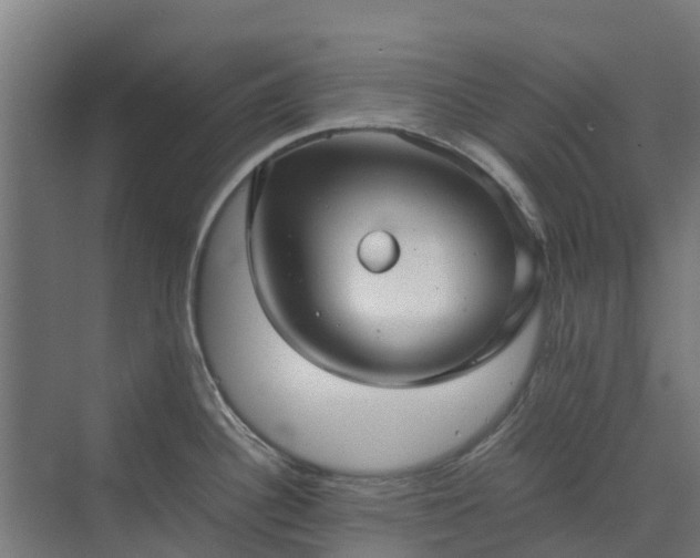 X0000072521340200607211413