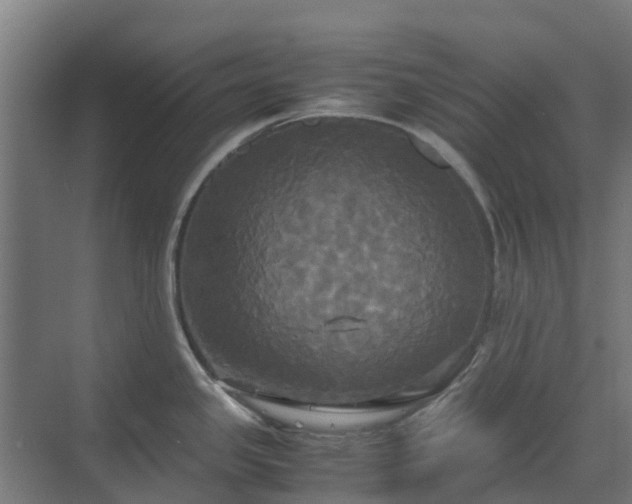 X0000072521341200607211413