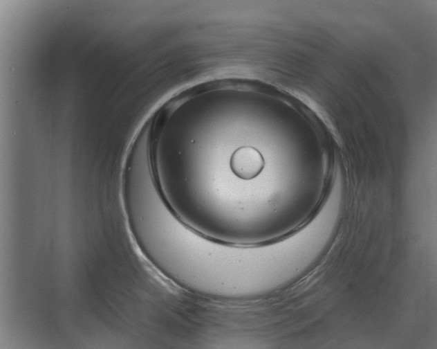 X0000072521342200607211413