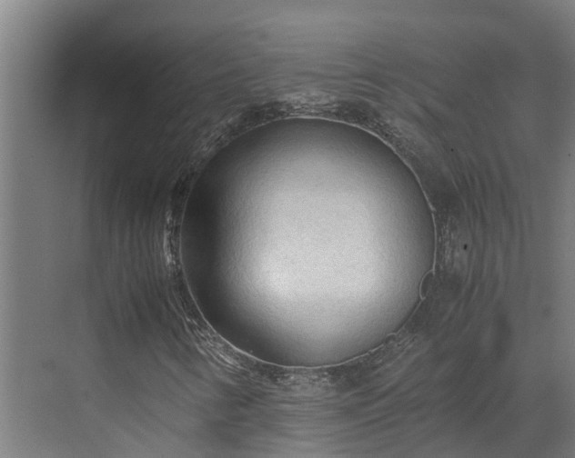 X0000072521346200607211413