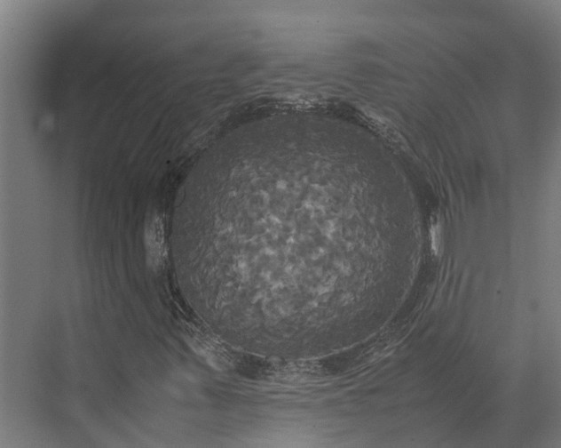 X0000072521347200607211413