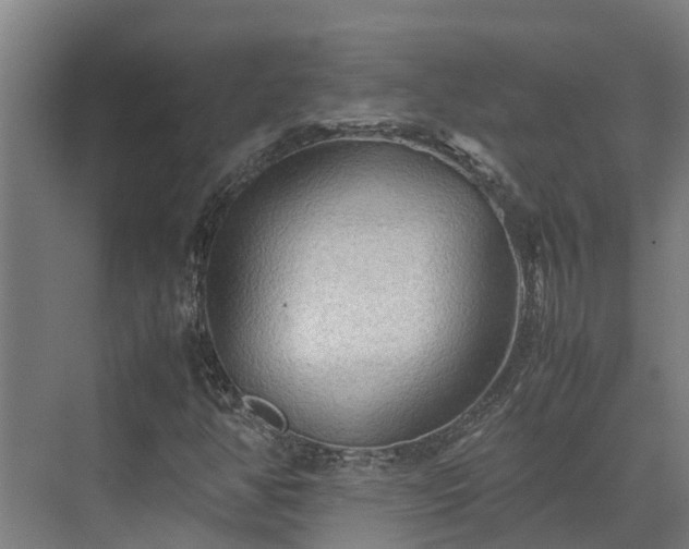 X0000072521350200607211413