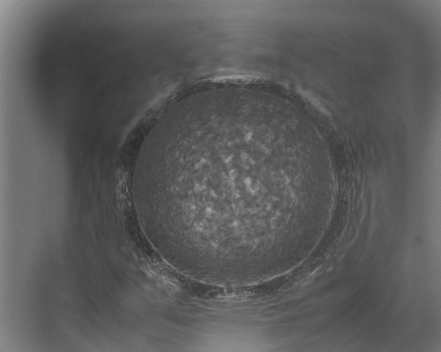 X0000072521351200607211413