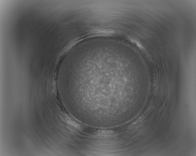 X0000072521354200607211412