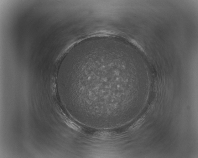 X0000072521355200607211412