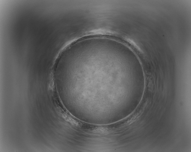 X0000072521358200607211412