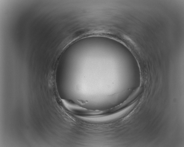 X0000072521361200607211412