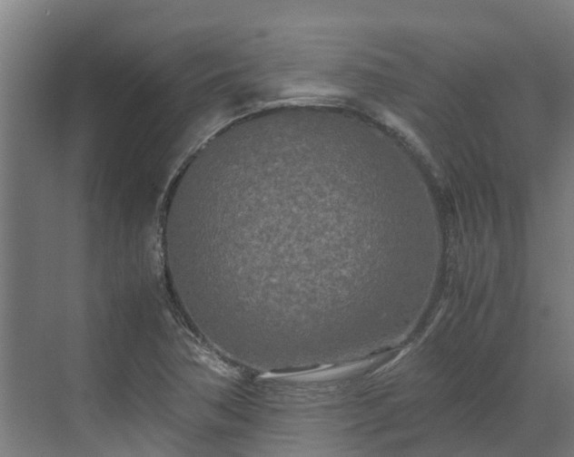 X0000072521362200607211412