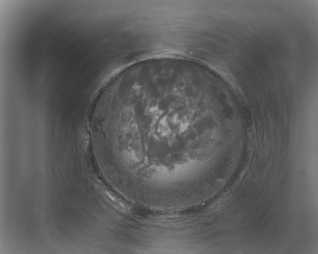 X0000072521363200607211412