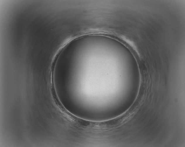 X0000072521365200607211412