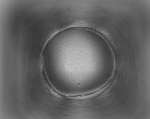 X0000072521366200607211412