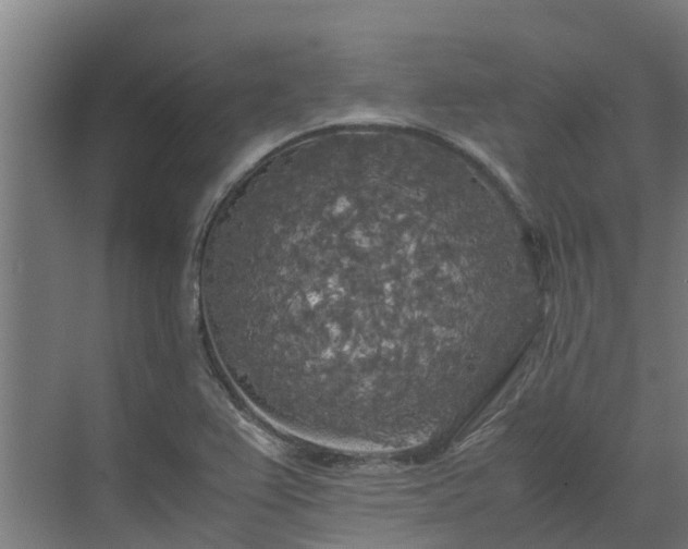 X0000072521367200607211412