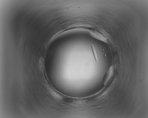 X0000072521369200607211412