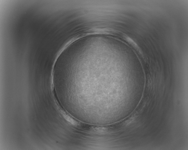 X0000072521370200607211412