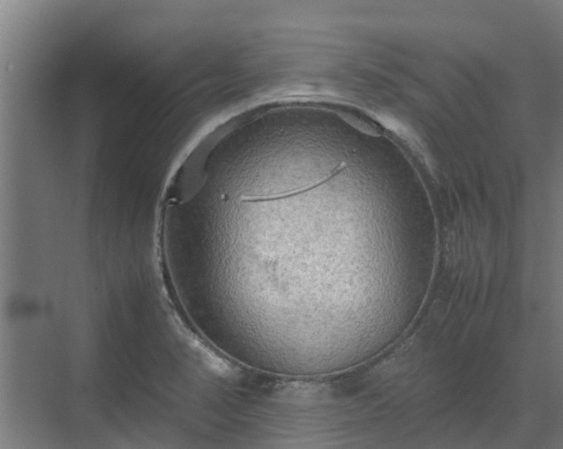 X0000072521374200607211412