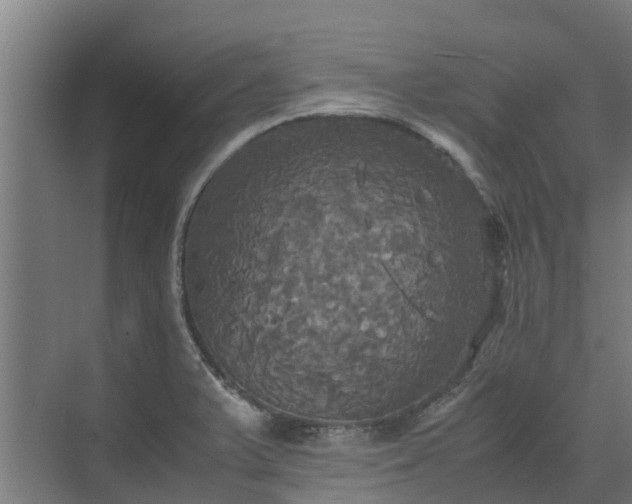 X0000072521375200607211412