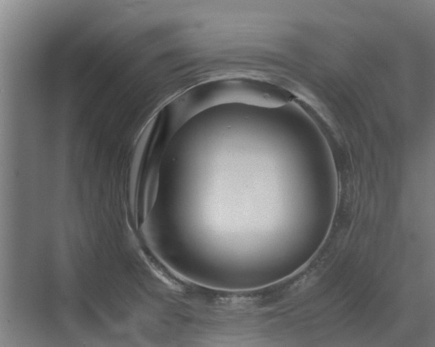 X0000072521377200607211412